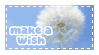 Make a wish